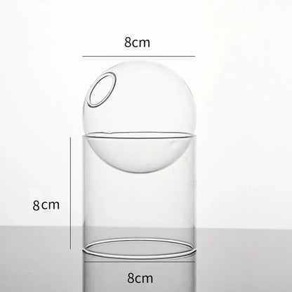 Decorative Round Modern Glass Vase – Stylish Clear Glass Vase for Hydroponic Arrangements and Flowers