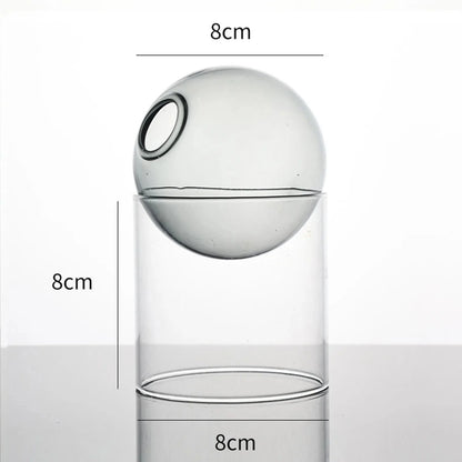 Decorative Round Modern Glass Vase – Stylish Clear Glass Vase for Hydroponic Arrangements and Flowers