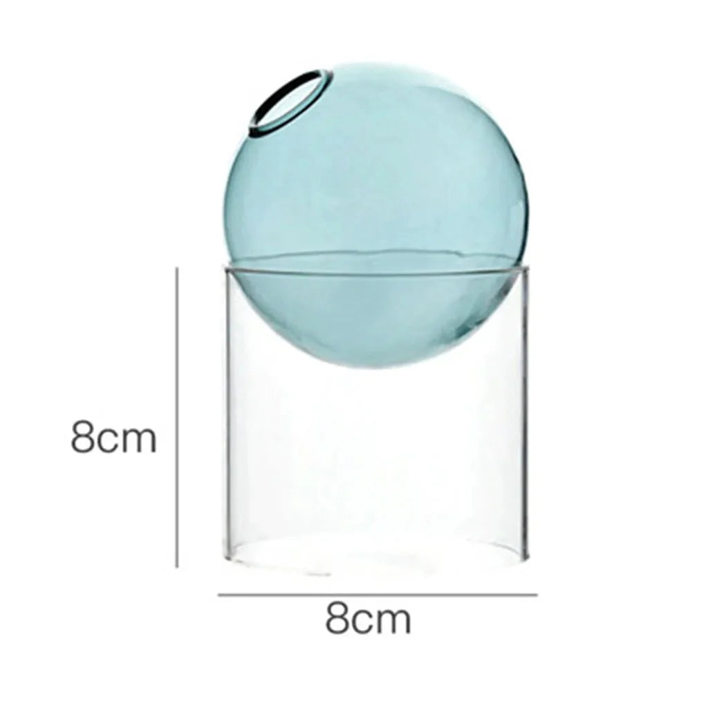 Decorative Round Modern Glass Vase – Stylish Clear Glass Vase for Hydroponic Arrangements and Flowers