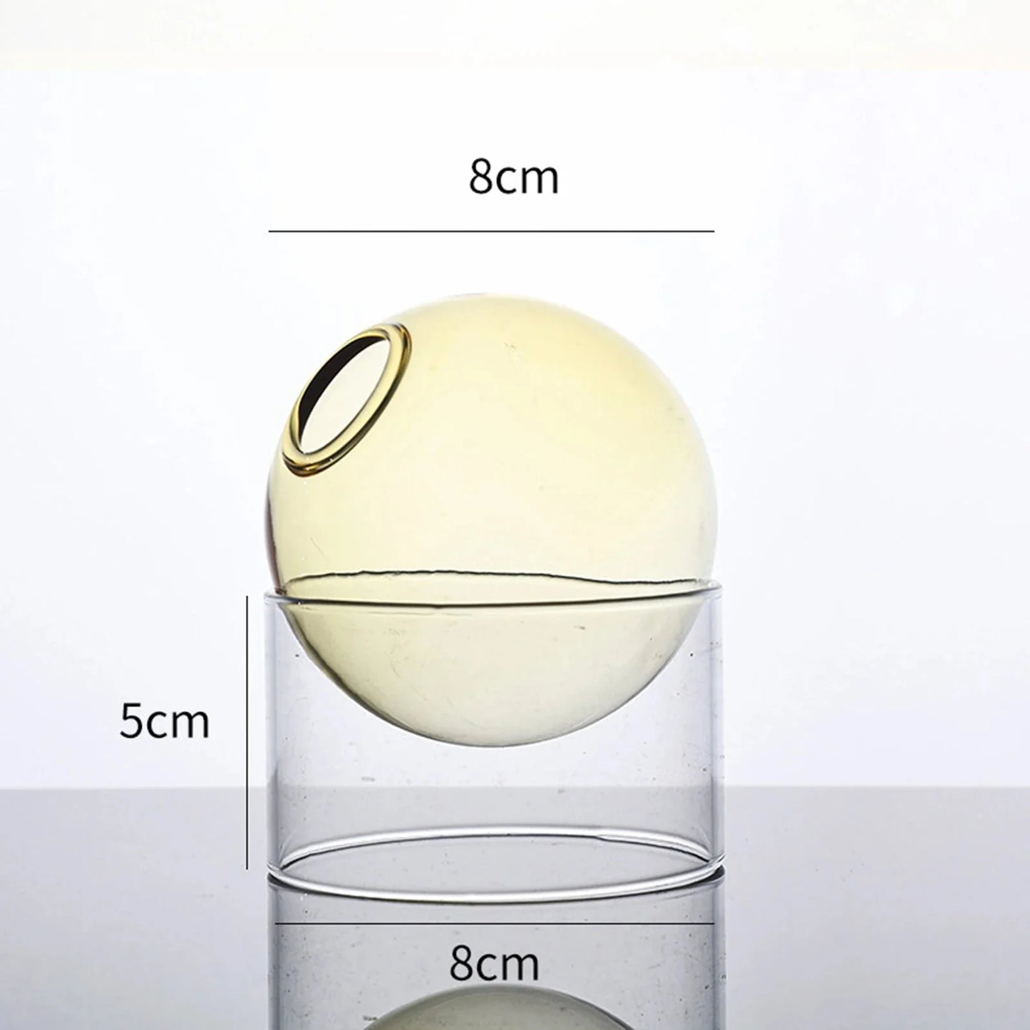 Decorative Round Modern Glass Vase – Stylish Clear Glass Vase for Hydroponic Arrangements and Flowers