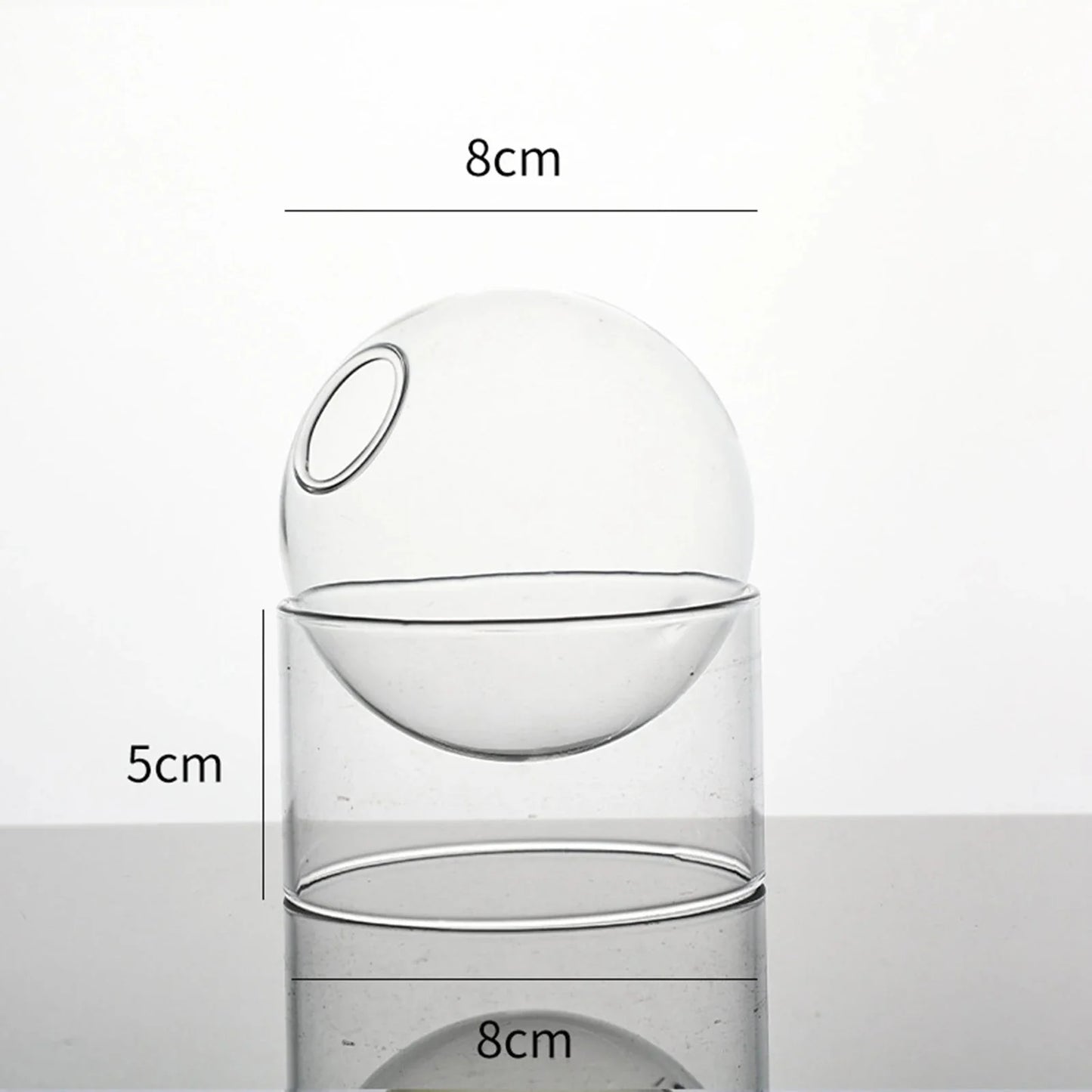 Decorative Round Modern Glass Vase – Stylish Clear Glass Vase for Hydroponic Arrangements and Flowers