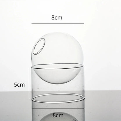 Decorative Round Modern Glass Vase – Stylish Clear Glass Vase for Hydroponic Arrangements and Flowers