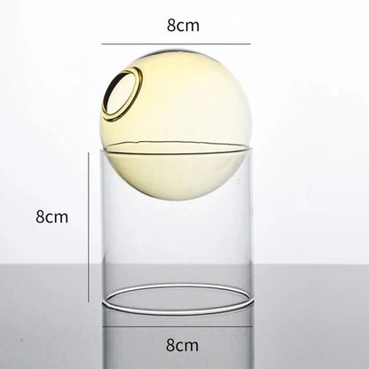 Decorative Round Modern Glass Vase – Stylish Clear Glass Vase for Hydroponic Arrangements and Flowers