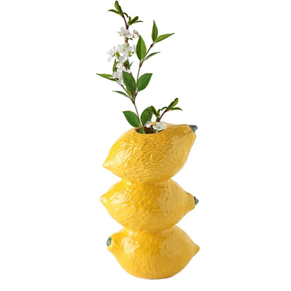 Fruit-Inspired Decorative Vase – Playful and Unique Vase for Floral Arrangements and Home Decor